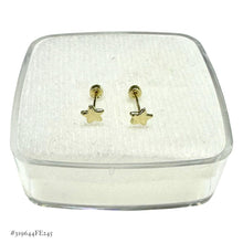 BROQUEL ESTRELLA LISA