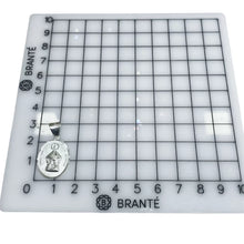 MEDALLA VIRGEN DE ZAPOPAN - PLATA .925